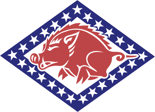 Arkansas National Guard Logo